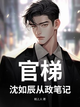 《官梯：沈如辰从政笔记》官方封面