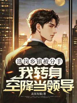 《选岗乡镇被分手，我转身空降当领导》官方封面