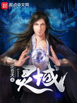 《灵域》官方封面