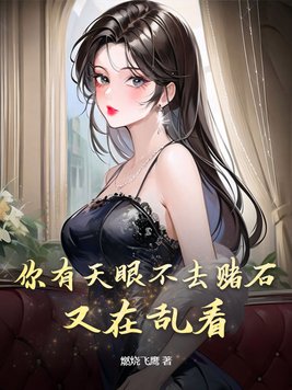 《你有天眼不去赌石，又在乱看》官方封面