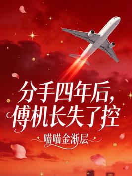 《分手四年后，傅机长失了控》官方封面