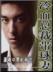 《冷血总裁带球妻》官方封面