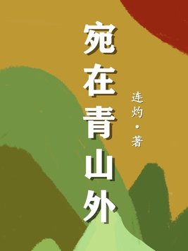 《宛在青山外》官方封面