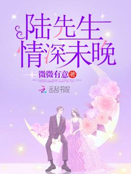《陆先生,情深未晚》官方封面