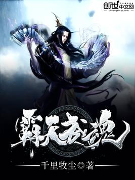 《霸天武魂》官方封面