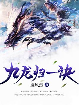 《九龙归一诀》官方封面