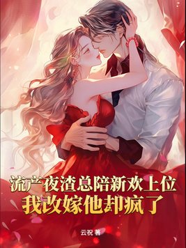 《流产夜渣总陪新欢上位，我改嫁他却疯了》官方封面