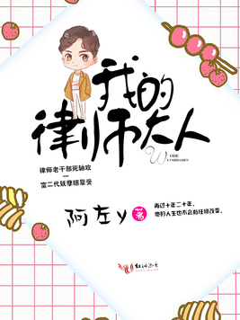 《我的律师大人》官方封面