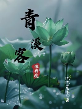 《综影视：青溪客》官方封面