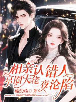 《相亲认错人，京圈大佬一夜沦陷》官方封面