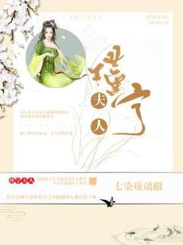 《瑾宁夫人》官方封面