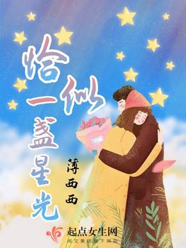 《恰似一盏星光》官方封面