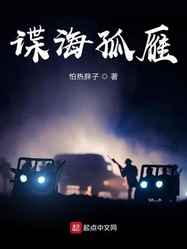 《谍海孤雁》官方封面