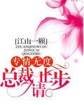 《专情无度：总裁请止步》官方封面
