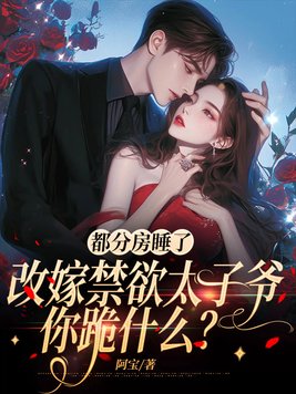 《都分房睡了，改嫁禁欲太子爷你跪什么？》官方封面